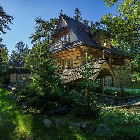 Villa Dom Crocus Zakopane Exterior foto